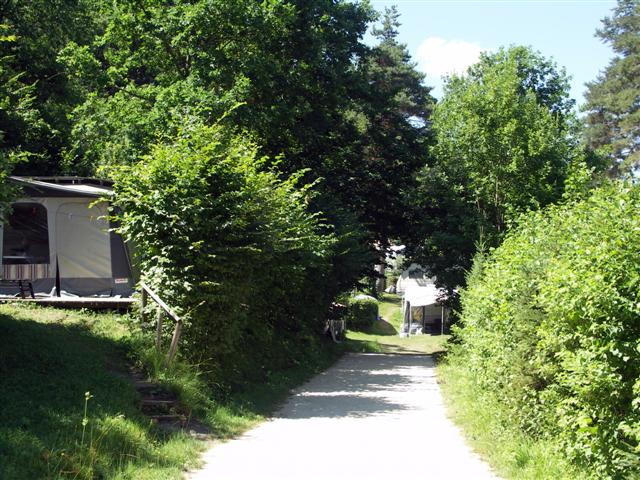 Weg ins Gelände 1