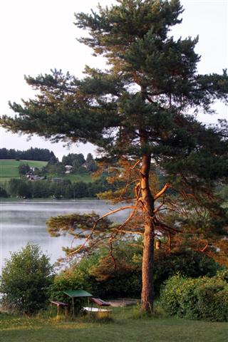 0907180045 (Small)02