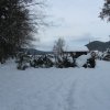 Winter 2013/14